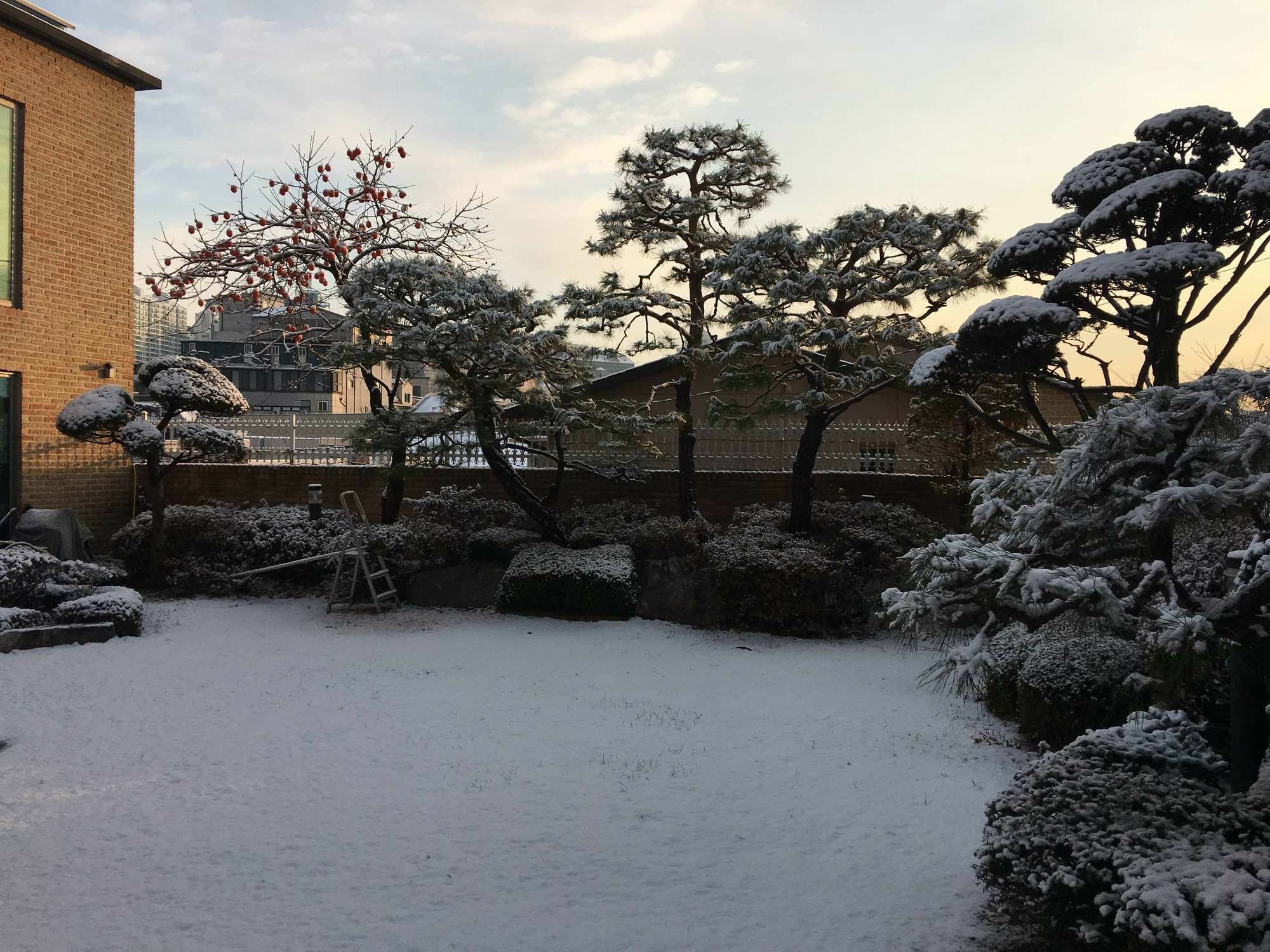 ホテル パズルステイ ハウス ソウル特別市 エクステリア 写真